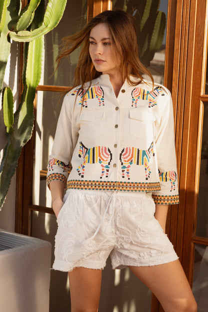 CHAQUETA ZEBRA